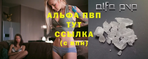 стаф Кукмор